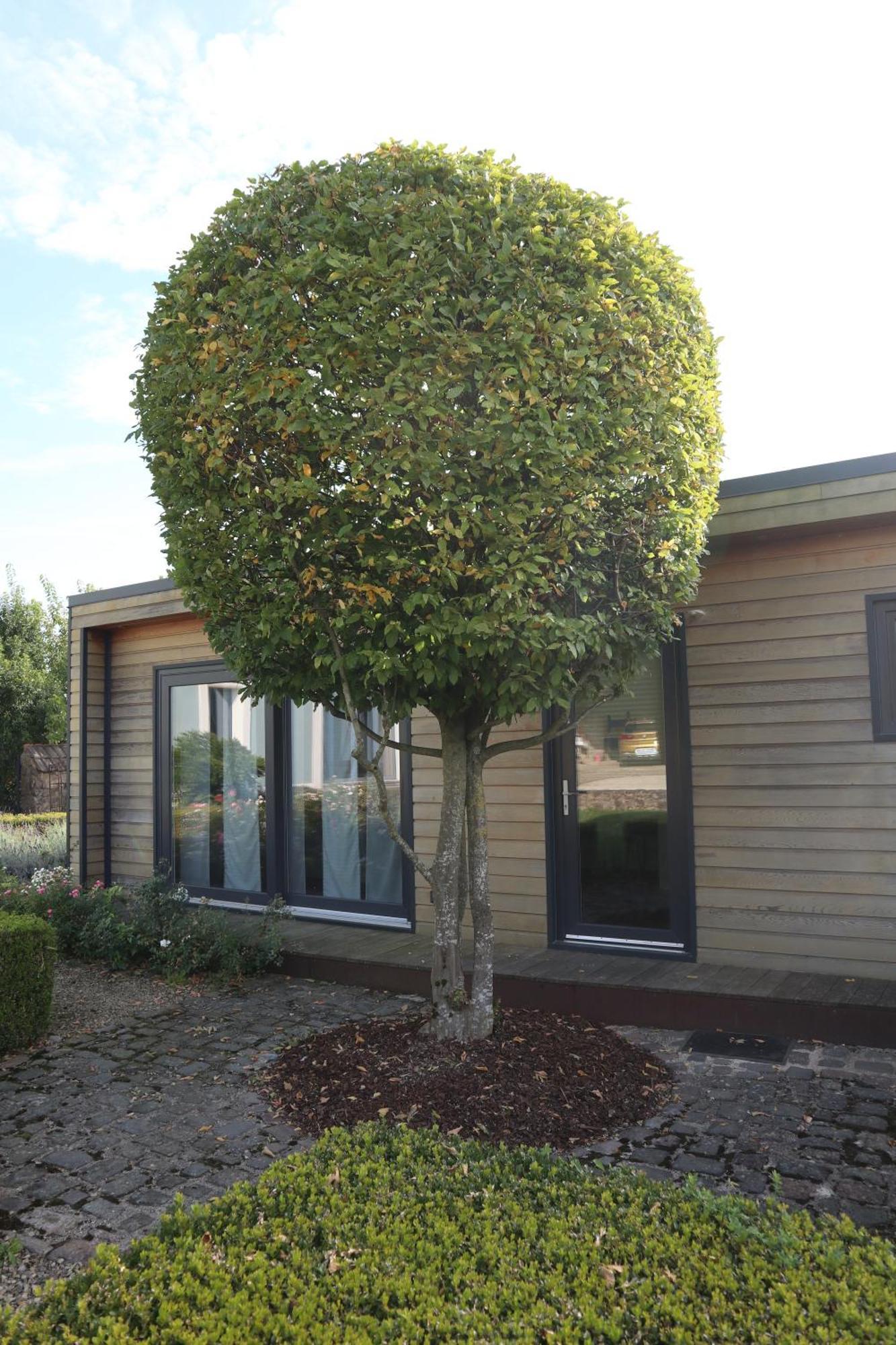 Apartamento Tinyhouse Perl Exterior foto
